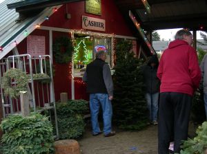 Christmas Tree Farm Shop